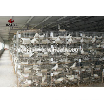 Diseño Pigeon Cage Pigeon Breeding Cage